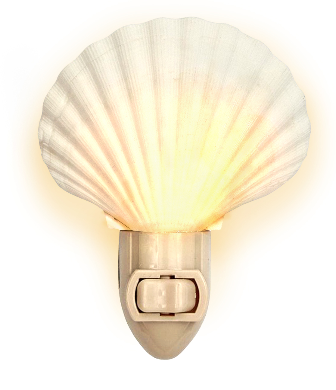 Handmade Seashell Night Light